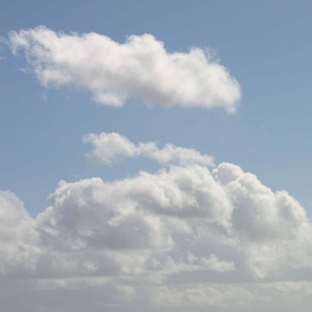 Meet your Posher, Jess